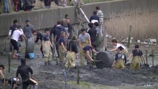 亀崎潮干祭ゴマ掘り